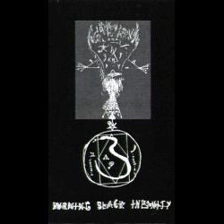 DEAD REPTILE SHRINE - Burning Black Infinity cover 