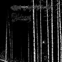DEAD REPTILE SHRINE - Dead Reptile Shrine / Torturium cover 
