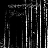 DEAD REPTILE SHRINE - Dead Reptile Shrine / Torturium cover 