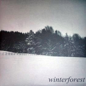 DEAD REPTILE SHRINE - Winterforest cover 