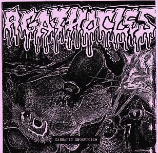 DEATH YELL - Agathocles / Death Yell cover 