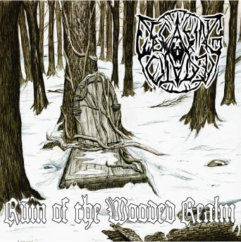 DECAYING CITADEL - Ruin of the Wooded Realm cover 
