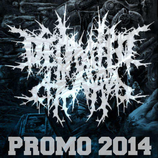DECIMATED HUMANS - Promo 2014 cover 