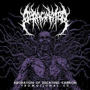DERACINATED - Adoration Of Decaying Carrion cover 