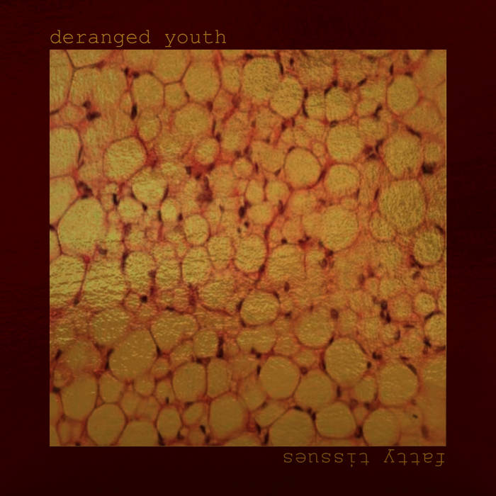 DERANGED YOUTH - Fatty Tissues cover 