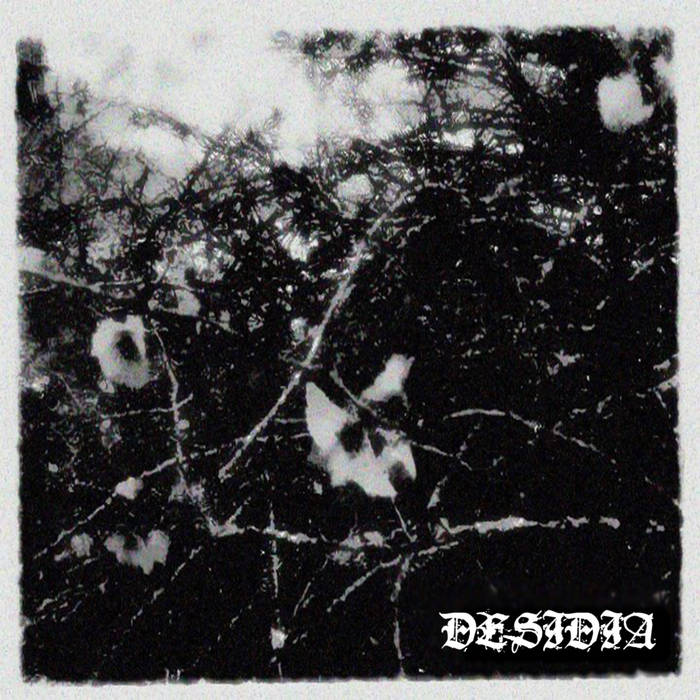 DESIDIA - Demo cover 