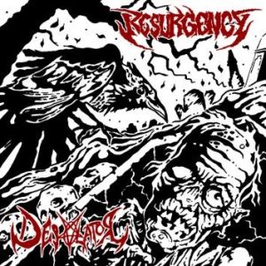 DESOLATOR - Resurgency / Desolator cover 