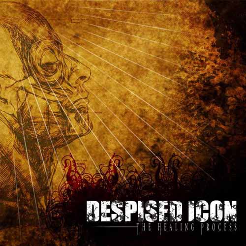 DESPISED ICON - The Healing Process cover 