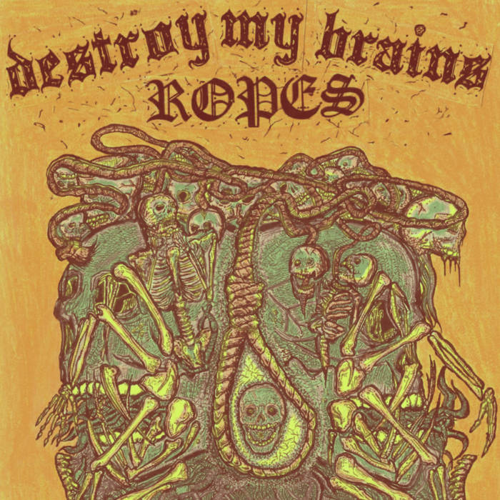 DESTROY MY BRAINS - Ropes cover 