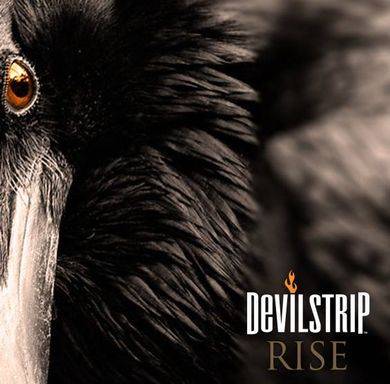 DEVILSTRIP - Rise cover 