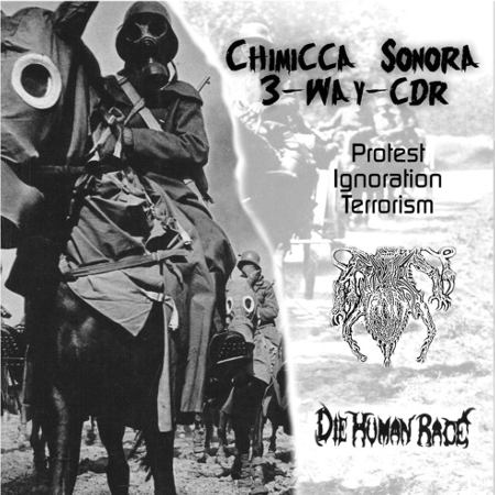 DIE HUMAN RACE - Chimicca Sonora cover 