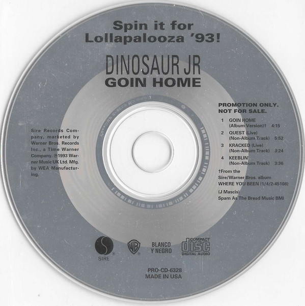 DINOSAUR JR. - Goin Home (Spin It For Lollapalooza '93!) cover 