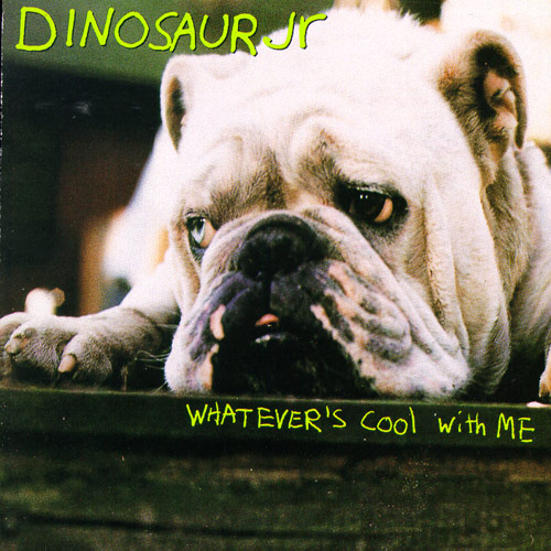 DINOSAUR JR. - Whatever's Cool With Me cover 