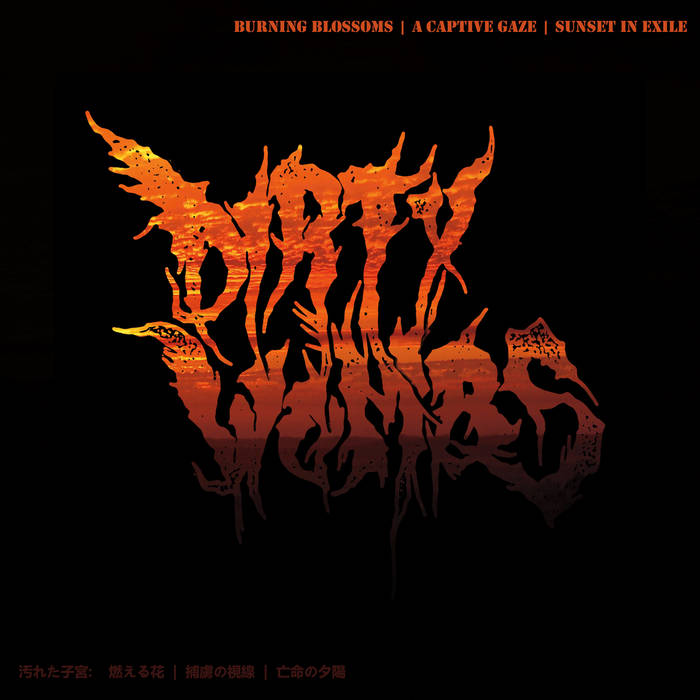 DIRTY WOMBS - Dirty Wombs cover 