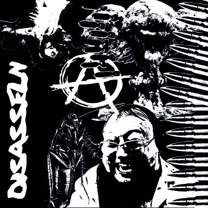DISASSELN - Disasseln cover 
