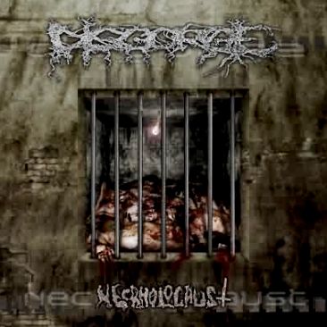 DISGORGE - Necrholocaust cover 