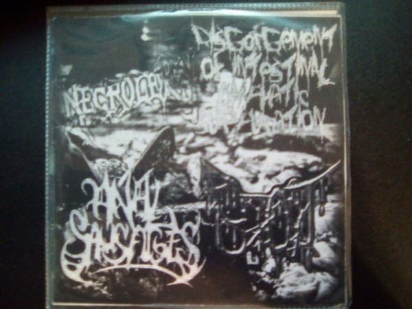 DISGORGEMENT OF INTESTINAL LYMPHATIC SUPPURATION - Disgorgement of Intestinal Lymphatic Suppuration / Bloody Obstetric Technology / Anal Sausages / Necrolepsy cover 