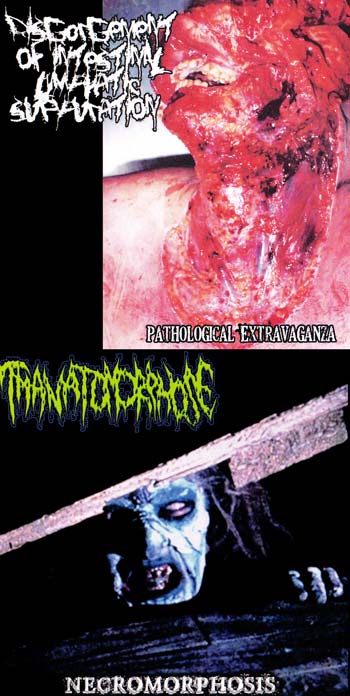DISGORGEMENT OF INTESTINAL LYMPHATIC SUPPURATION - Pathological Extravaganza / Necromorphosis cover 