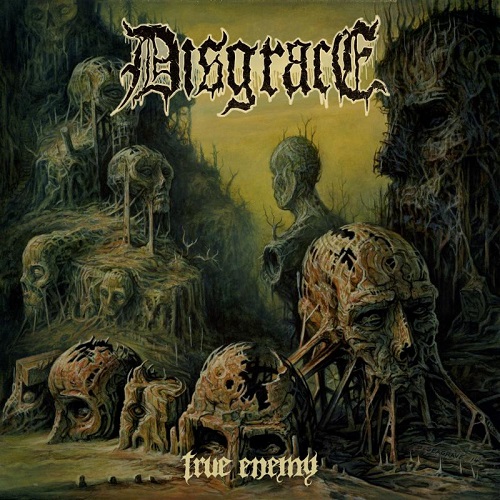 DISGRACE - True Enemy cover 