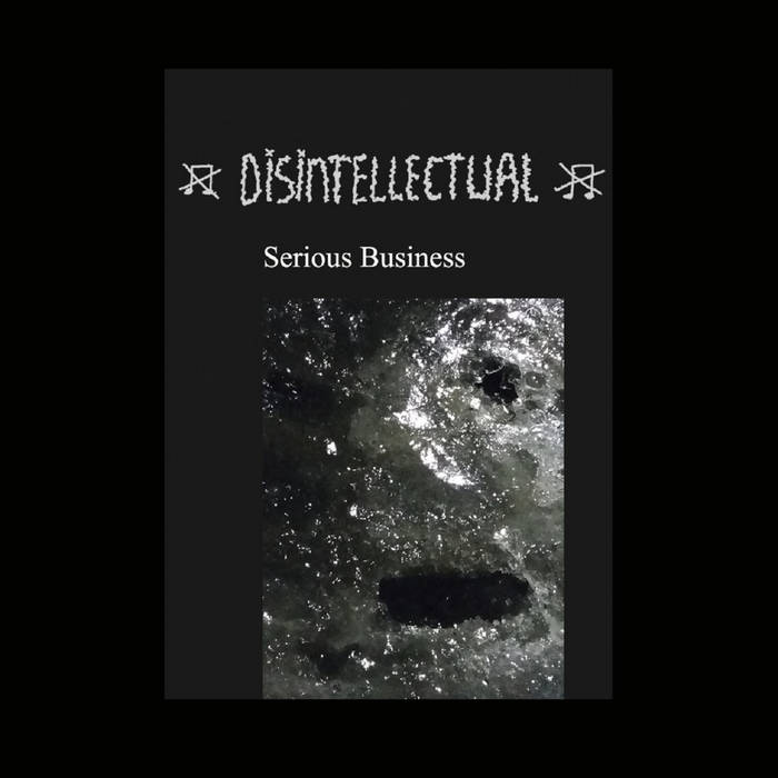 DISINTELLECTUAL - Serious Business cover 