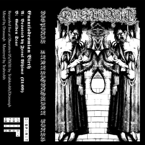 DISPIRIT - Enantiodromian Birth cover 