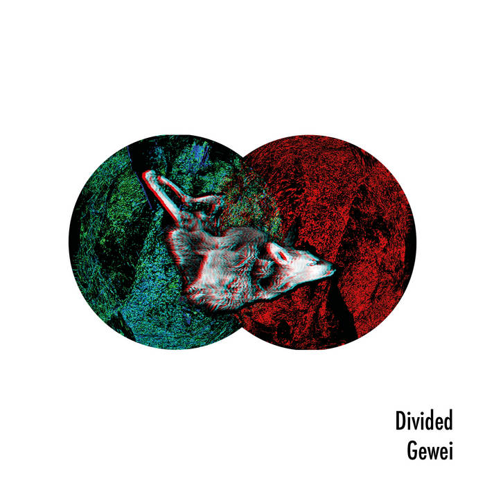 DIVIDED - Gewei cover 