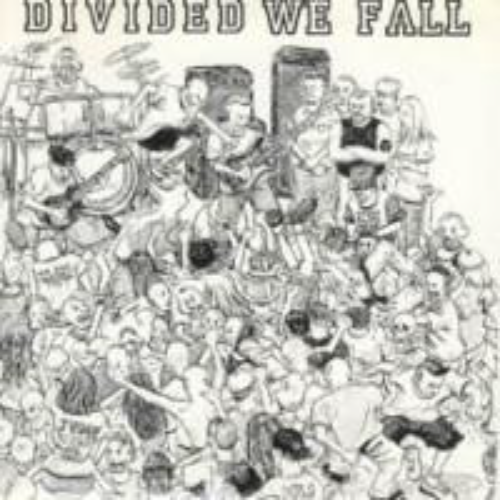 DIVIDED WE FALL - Divided We Fall cover 