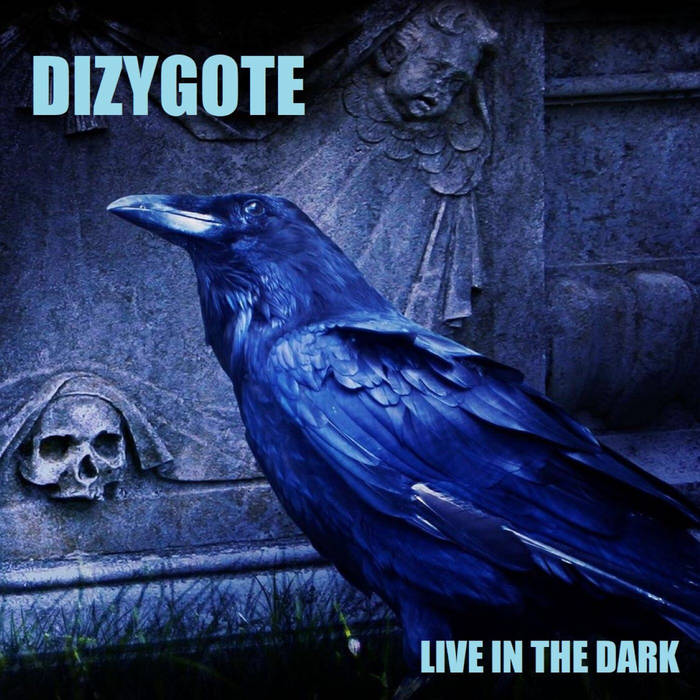 DIZYGOTE - Live In The Dark cover 
