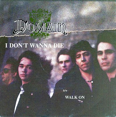 DOMAIN - I Don't Wanna Die cover 