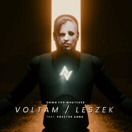 DOWN FOR WHATEVER - Voltam / Leszek cover 
