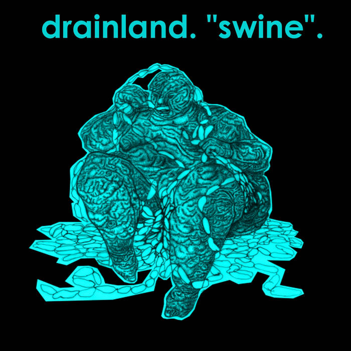 DRAINLAND - Swine cover 