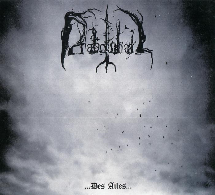 DRAKONHAIL - ...Des Ailes... cover 