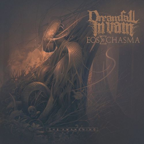 DREAMFALL IN VAIN - The Awakening cover 