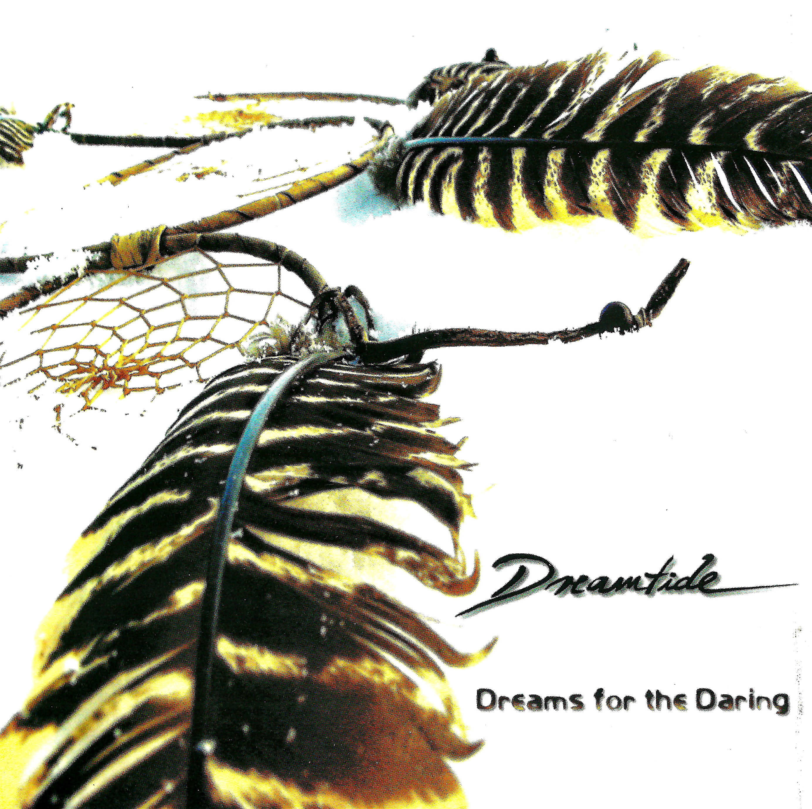 DREAMTIDE - Dreams for the Daring cover 