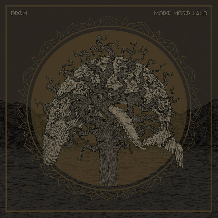 DROM - Drom / Moro Moro Land cover 