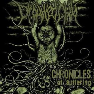 DROWNED CHILD - Chronicles of Suffering (2007) cover 