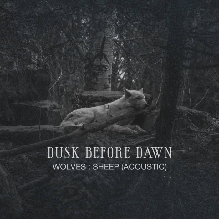 DUSK BEFORE DAWN - Wolves : Sheep (Acoustic) cover 