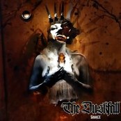 THE DUSKFALL - Source cover 