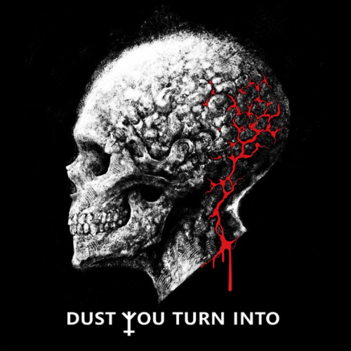 DUST YOU TURN INTO - My Enemy cover 