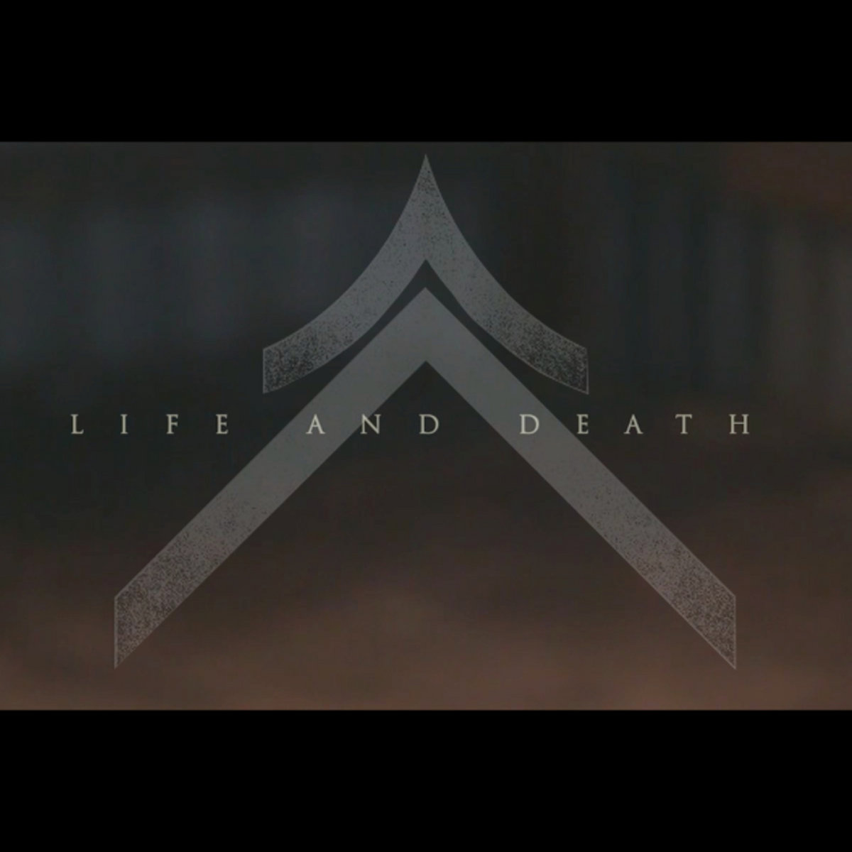 DVSR - Life and Death cover 