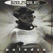 DZELZS VILKS - Palodze cover 