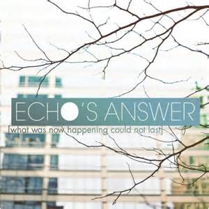 ECHO'S ANSWER - What Was Now Happening Could Not Last cover 
