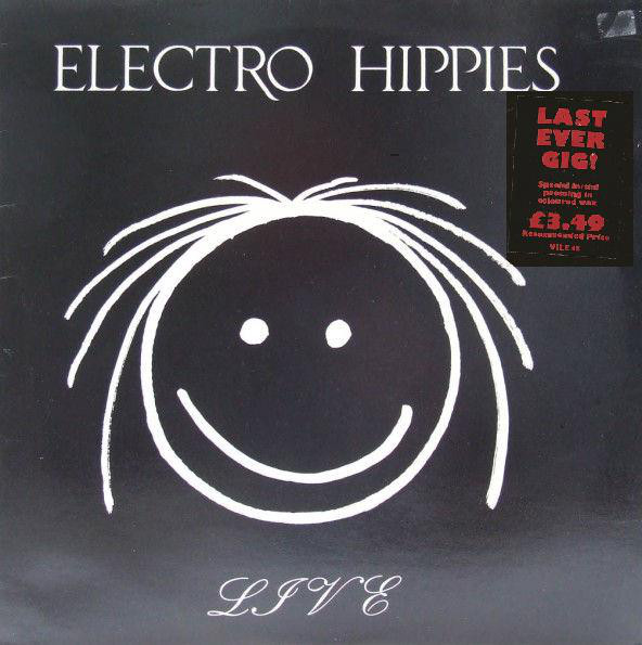 ELECTRO HIPPIES - Live cover 