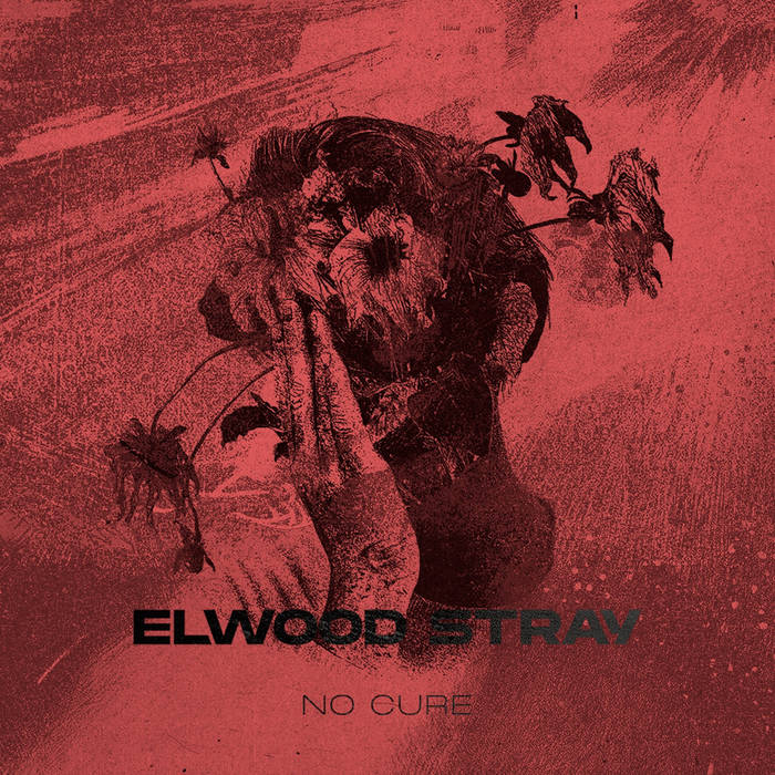 ELWOOD STRAY - No Cure cover 