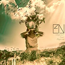 EMBLA NORTH - Vagrant Soul Reprise cover 