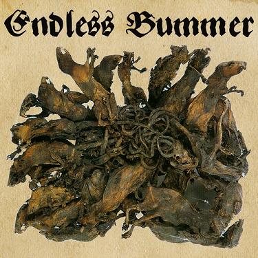 ENDLESS BUMMER - Fritzl cover 