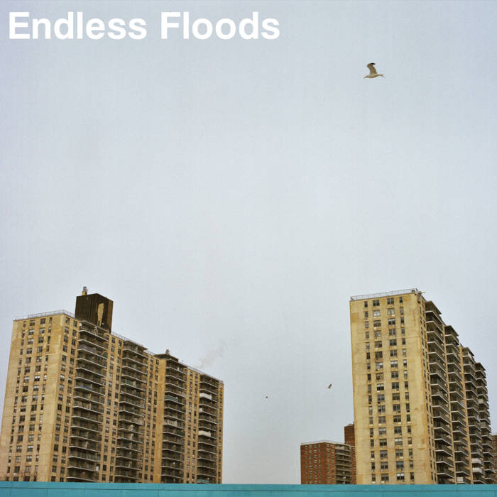 ENDLESS FLOODS - II cover 