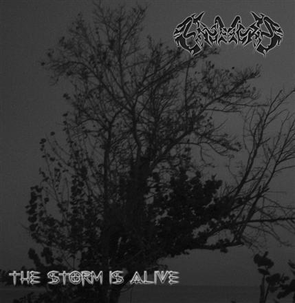 ENGENDRO - The Storm Is Alive - Managua 2005 cover 