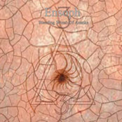 ENSOPH - Bleeding Womb of Ananke cover 