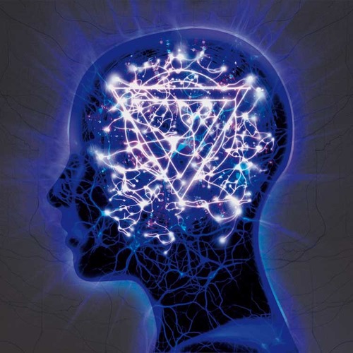 ENTER SHIKARI - The Mindsweep cover 